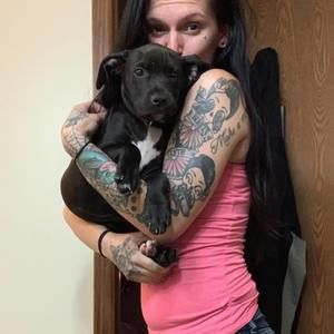 Meet your Posher, Allii